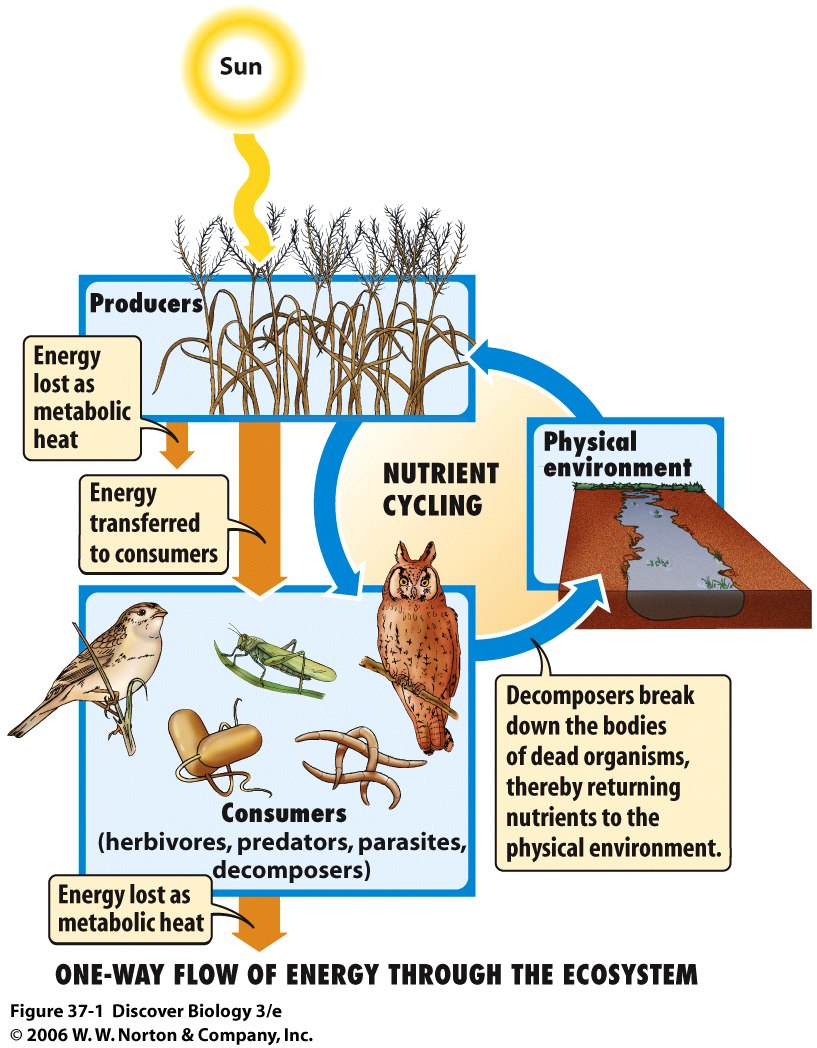 BIO 7 Lecture 33 34 Preview